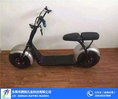 河池哈雷電動車批發_騰程五金科技_哈雷電動車